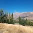  Land for sale in Futaleufu, Chubut, Futaleufu, Chubut