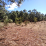  Land for sale in Tapalpa, Jalisco, Tapalpa