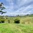 6 Habitación Casa en venta en Guarne, Antioquia, Guarne