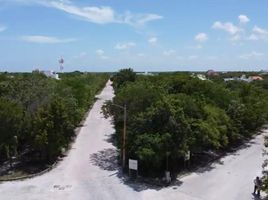  Grundstück zu verkaufen in Othon P Blanco, Quintana Roo, Othon P Blanco