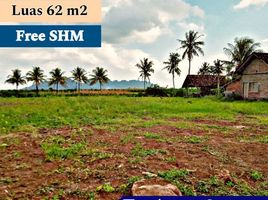  Land for sale in Banyuwangi, East Jawa, Gambiran, Banyuwangi