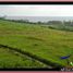  Land for sale in Selemadeg, Tabanan, Selemadeg