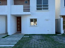 3 Schlafzimmer Villa zu verkaufen in Cozumel, Quintana Roo, Cozumel