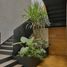 Maison 3 chambre à vendre à Cuajimalpa De Morelos, Mexico City, Cuajimalpa De Morelos
