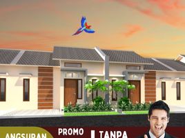 2 Bedroom House for sale in Singosari, Malang Regency, Singosari