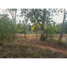  Terreno (Parcela) en venta en Tocumen International Airport, Tocumen, Tocumen