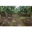  Land for sale in Gomez, Chiriqui, Gomez, Bugaba