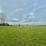  Land for sale in Chile, Puerto Varas, Llanquihue, Los Lagos, Chile