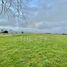  Land for sale in Chile, Puerto Varas, Llanquihue, Los Lagos, Chile
