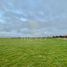  Land for sale in Chile, Puerto Varas, Llanquihue, Los Lagos, Chile