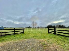  Land for sale in Chile, Puerto Varas, Llanquihue, Los Lagos, Chile