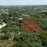 Terrain à vendre à Conkal, Yucatan, Conkal