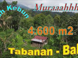  Terrain for sale in Pupuan, Tabanan, Pupuan