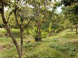  Land for sale in Anapoima, Cundinamarca, Anapoima