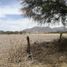  Terrain for sale in Jalisco, Tlajomulco De Zuniga, Jalisco