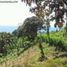  Land for sale in Colon, Maria Chiquita, Portobelo, Colon