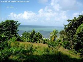  Terreno (Parcela) en venta en Colón, María Chiquita, Portobelo, Colón