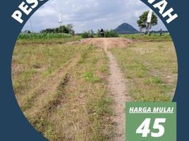  Land for sale in Indonesia, Jenggawah, Jember, East Jawa, Indonesia