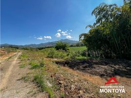  Land for sale in Pereira, Risaralda, Pereira