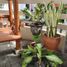 7 Habitación Casa en venta en Rungkut, East Jawa, Rungkut, Surabaya, East Jawa