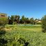  Terreno (Parcela) en venta en Melipilla, Santiago, Curacavi, Melipilla