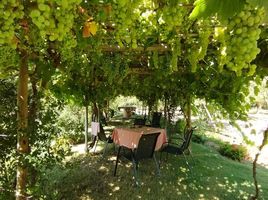  Terreno (Parcela) en venta en Melipilla, Santiago, Curacavi, Melipilla