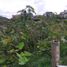  Land for sale in Santa Rosa De Cabal, Risaralda, Santa Rosa De Cabal