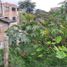  Land for sale in Santa Rosa De Cabal, Risaralda, Santa Rosa De Cabal