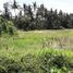  Tanah for sale in Tampak Siring, Gianyar, Tampak Siring