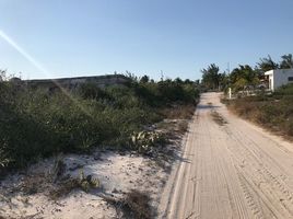  Grundstück zu verkaufen in Chicxulub Pueblo, Yucatan, Chicxulub Pueblo