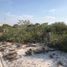  Grundstück zu verkaufen in Chicxulub Pueblo, Yucatan, Chicxulub Pueblo
