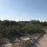  Grundstück zu verkaufen in Chicxulub Pueblo, Yucatan, Chicxulub Pueblo