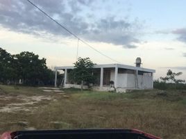  Grundstück zu verkaufen in Tixpehual, Yucatan, Tixpehual