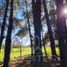  Terreno (Parcela) en venta en Chile, Mulchen, Biobío, Biobío, Chile