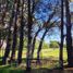  Terreno (Parcela) en venta en Chile, Mulchen, Biobío, Biobío, Chile