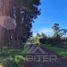 Terreno (Parcela) en venta en Chile, Mulchen, Biobío, Biobío, Chile