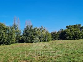  Terreno (Parcela) en venta en Chile, Mulchen, Biobío, Biobío, Chile