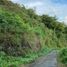  Grundstück zu verkaufen in Lombok Barat, West Nusa Tenggara, Gunung Sari