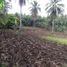  Land for sale in Borbon, Cebu, Borbon