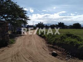  토지을(를) Dist Ocotlan, 오악 사카에서 판매합니다., Dist Ocotlan
