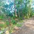  Land for sale in Bayat, Klaten, Bayat