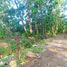  Land for sale in Bayat, Klaten, Bayat