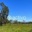  Terreno (Parcela) en venta en Los Ríos, Mariquina, Valdivia, Los Ríos