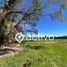  Terreno (Parcela) en venta en Los Ríos, Mariquina, Valdivia, Los Ríos