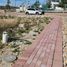  Land for sale in Lagos De Moreno, Jalisco, Lagos De Moreno