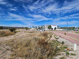  Land for sale in Lagos De Moreno, Jalisco, Lagos De Moreno