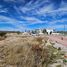  Land for sale in Lagos De Moreno, Jalisco, Lagos De Moreno