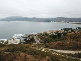  Land for sale in Chile, Zapallar, Petorca, Valparaiso, Chile