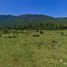  Land for sale in Chile, Cisnes, Aisen, Aisen Del General Carlos Ibanez Del Campo, Chile