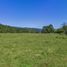  Land for sale in Chile, Cisnes, Aisen, Aisen Del General Carlos Ibanez Del Campo, Chile